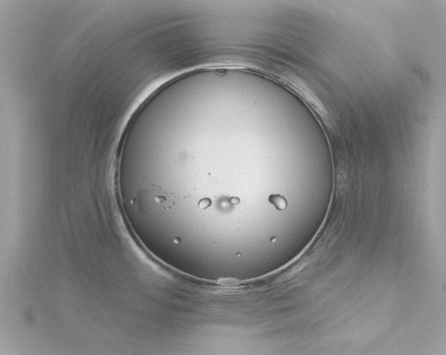 X0000116041484200912041801