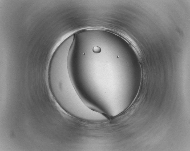 X0000116041485200912041801