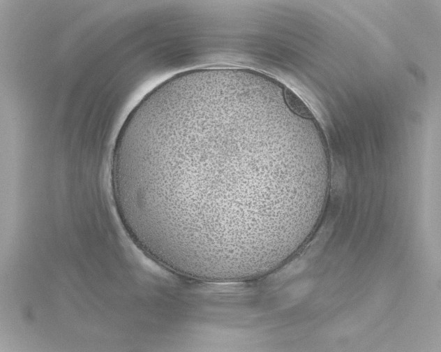 X0000116041486200912041801