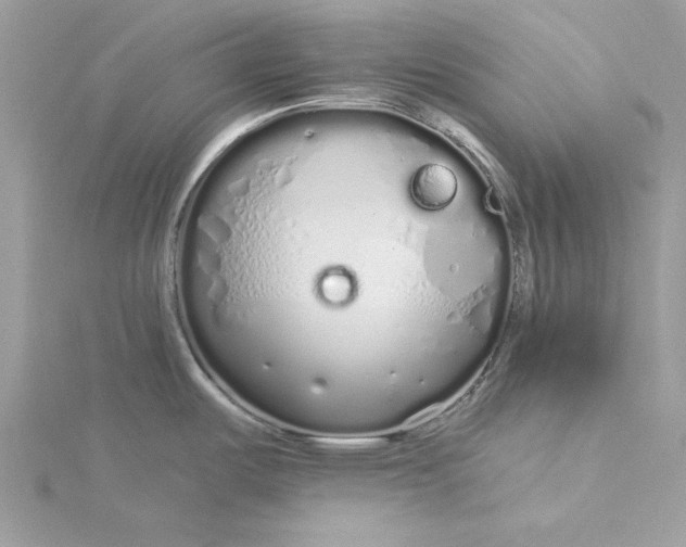 X0000116041487200912041801