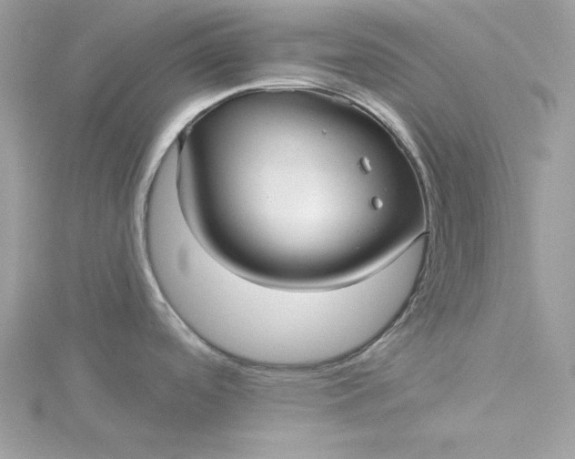 X0000116041488200912041801