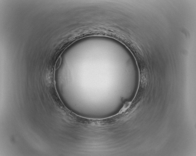 X0000116041490200912041800