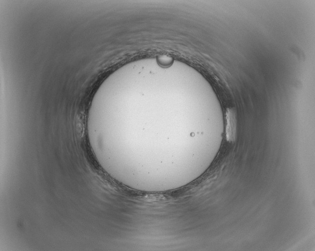 X0000116041491200912041800