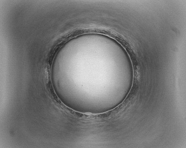 X0000116041493200912041800