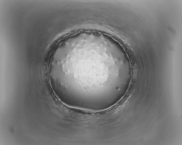 X0000116041494200912041800