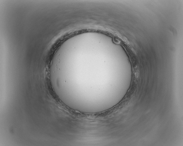 X0000116041495200912041800