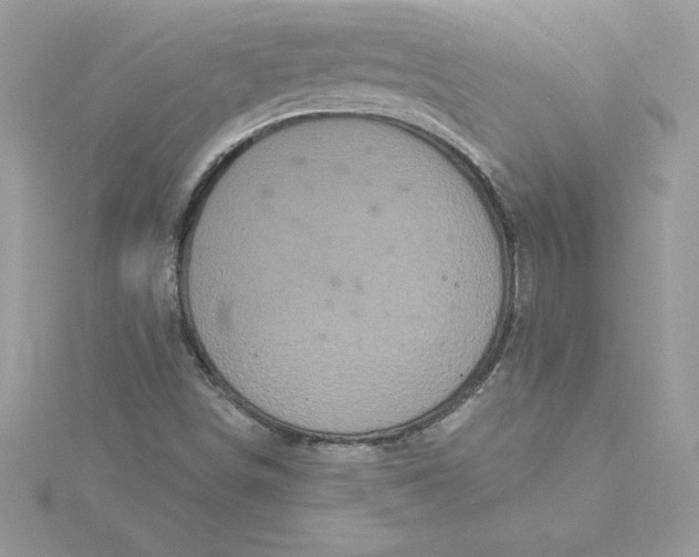 X0000116041498200912041800