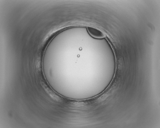 X0000116041499200912041800