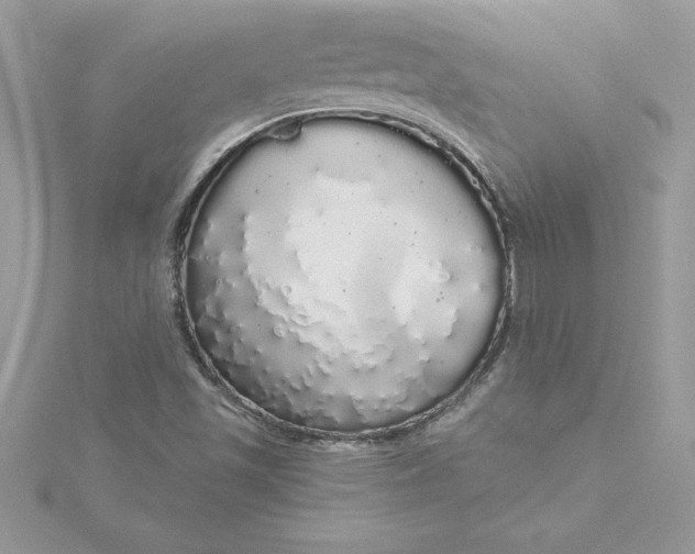 X0000116041501200912041800