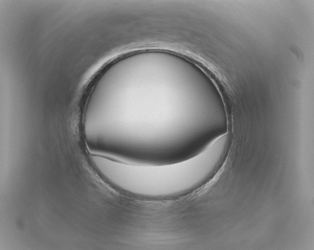 X0000116041502200912041800