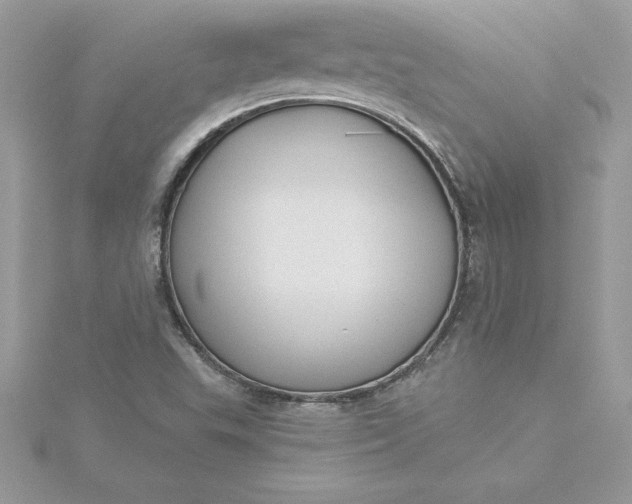 X0000116041503200912041800