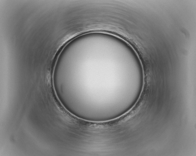 X0000116041505200912041800