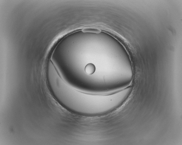 X0000116041506200912041800