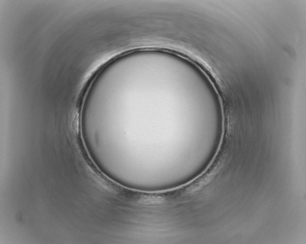 X0000116041509200912041800