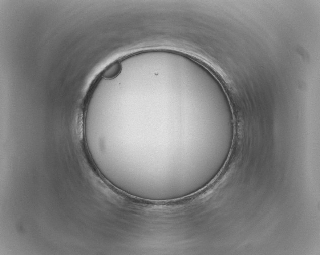 X0000116041510200912041800