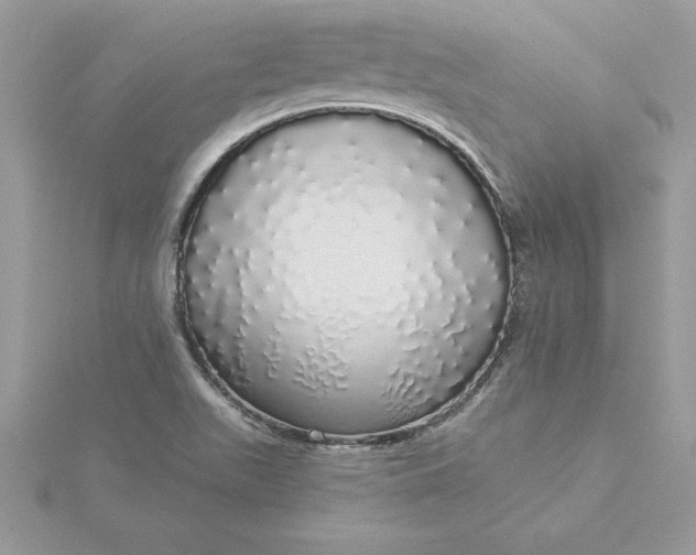 X0000116041511200912041800