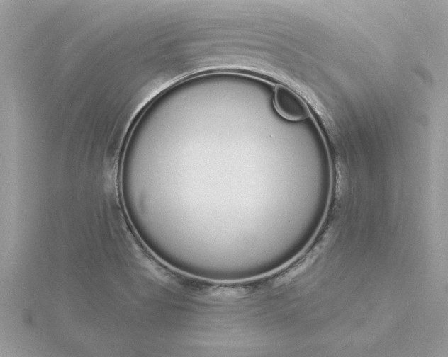 X0000116041513200912041800