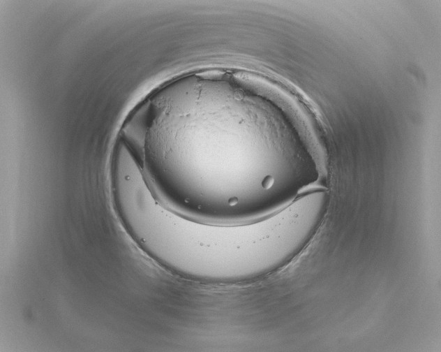 X0000116041514200912041800