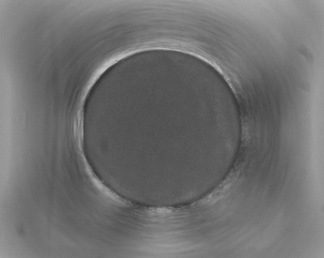 X0000116041515200912041800