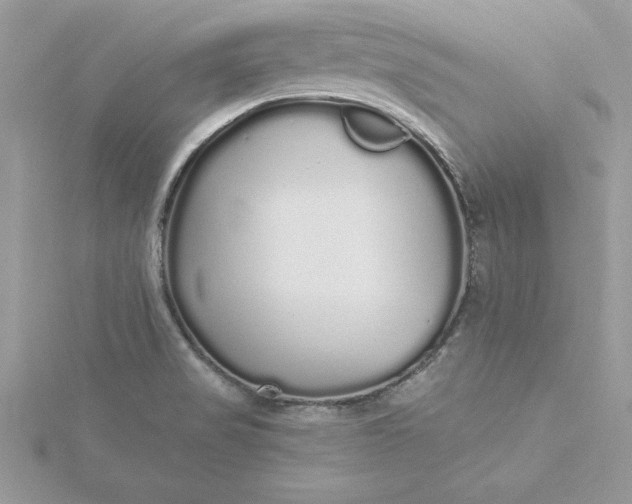 X0000116041517200912041800