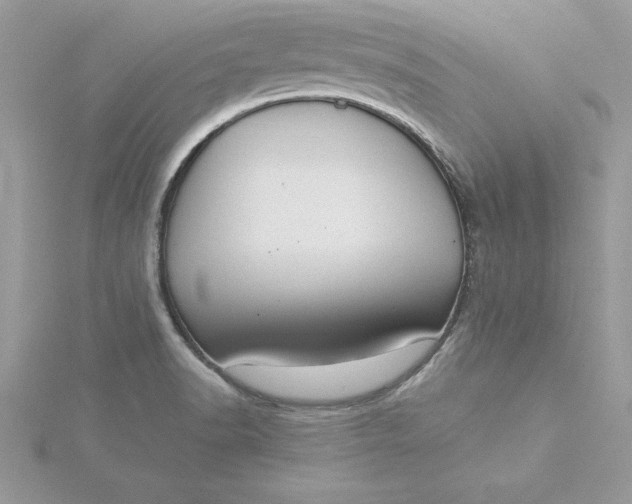 X0000116041518200912041800