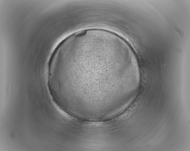 X0000116041519200912041800