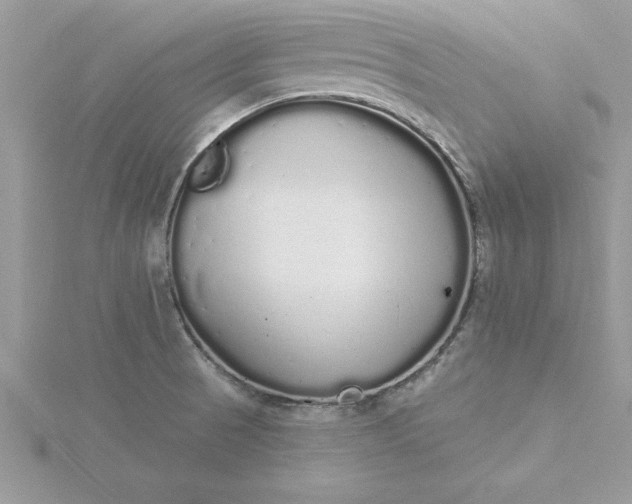 X0000116041521200912041800