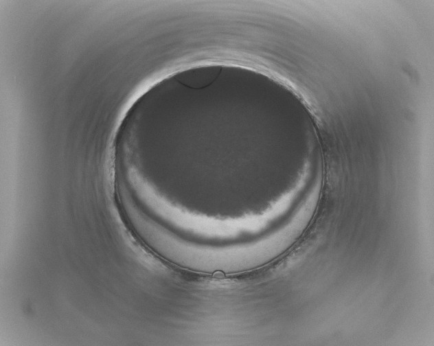 X0000116041522200912041800