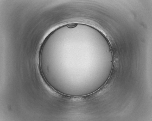 X0000116041523200912041800