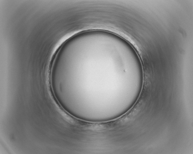 X0000116041525200912041800