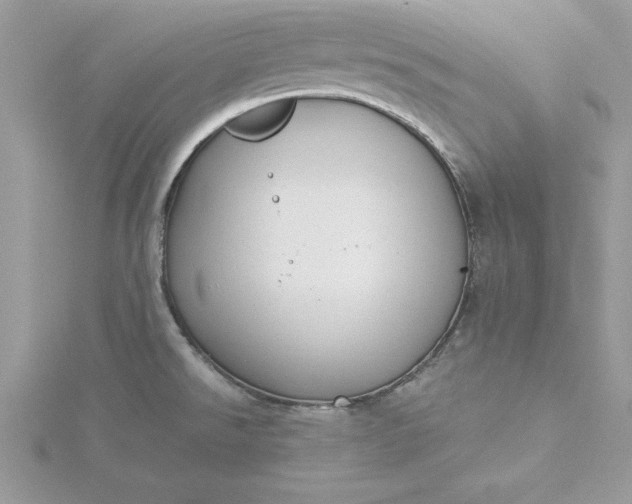 X0000116041526200912041800