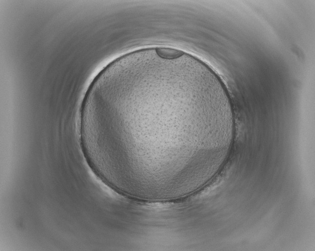 X0000116041527200912041800