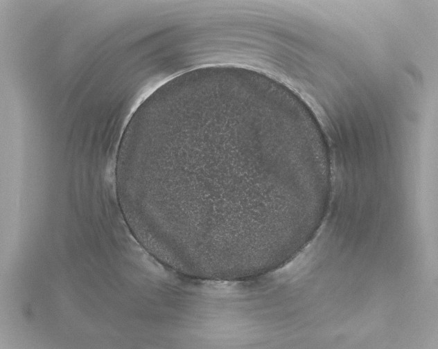 X0000116041529200912041800