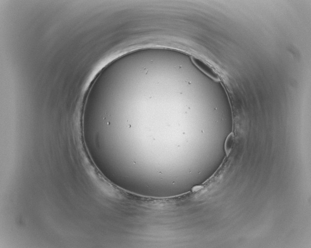 X0000116041530200912041800