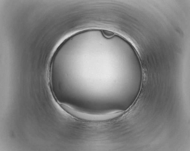 X0000116041531200912041800