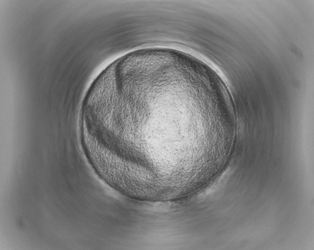 X0000116041533200912041800