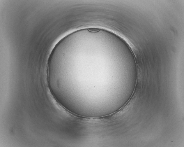 X0000116041534200912041801