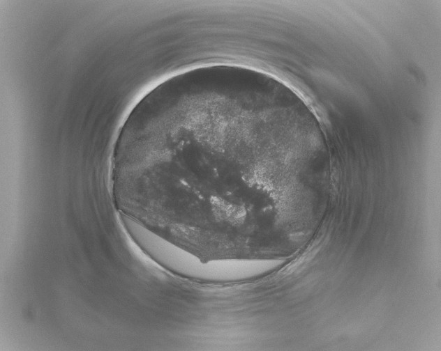 X0000116041535200912041801