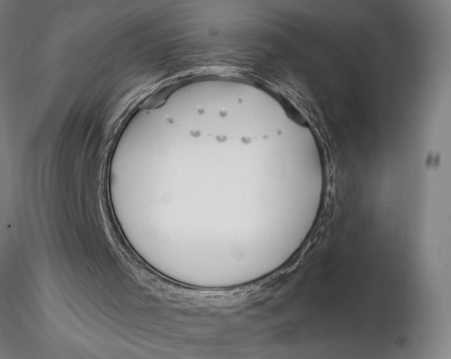 X0000116040001200912111451