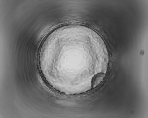 X0000116040002200912111451