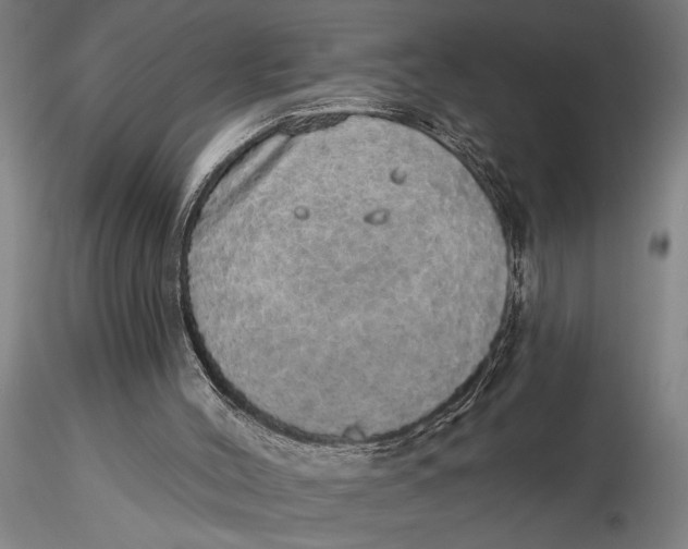 X0000116040004200912111451