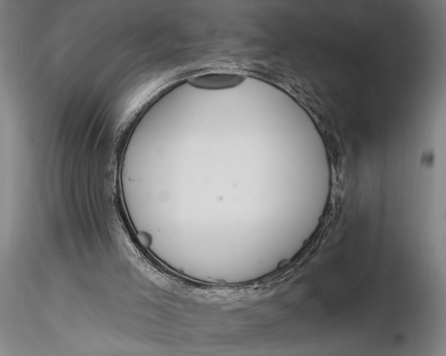 X0000116040005200912111451