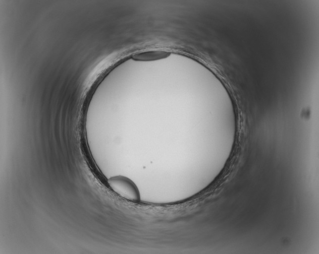 X0000116040007200912111451