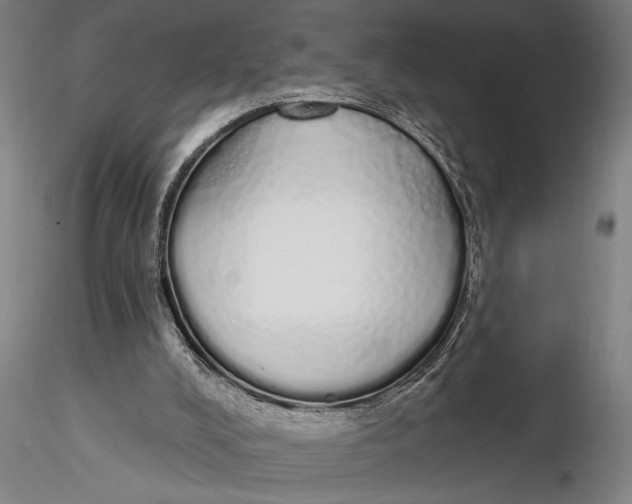 X0000116040008200912111451