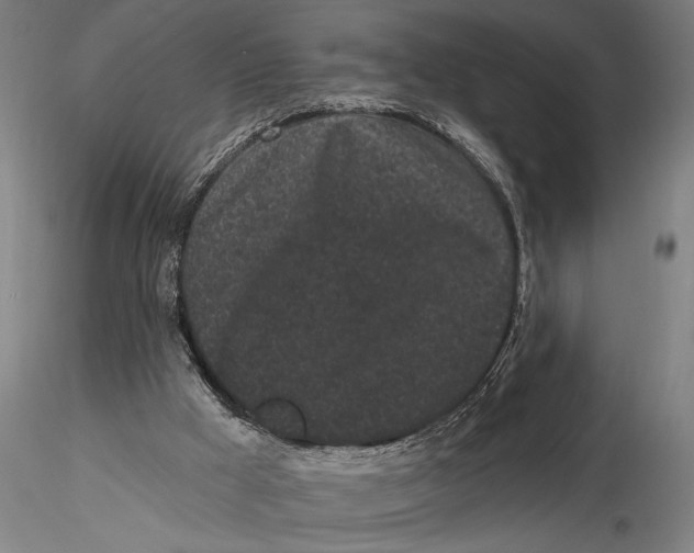 X0000116040009200912111451