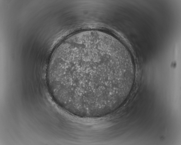 X0000116040010200912111451