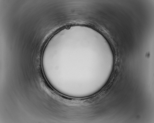 X0000116040012200912111451
