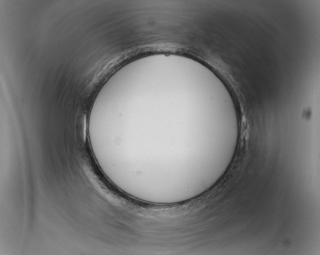 X0000116040013200912111451