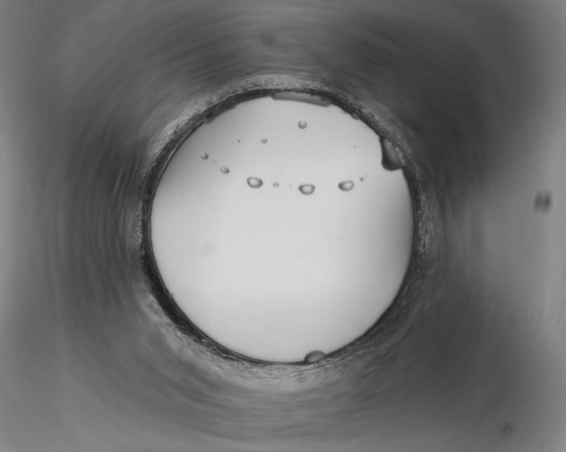 X0000116040015200912111451