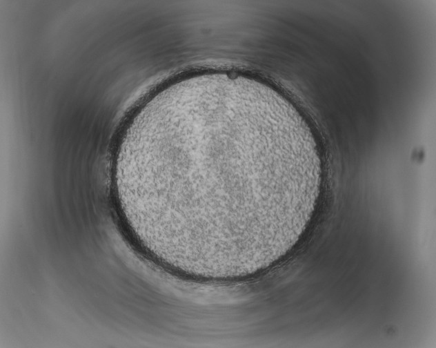 X0000116040016200912111451